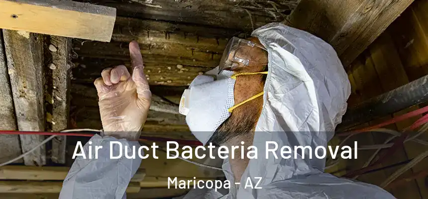 Air Duct Bacteria Removal Maricopa - AZ