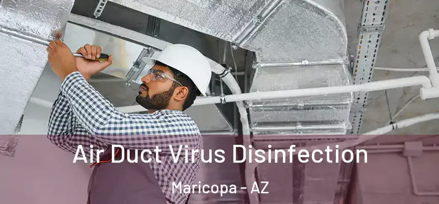  Air Duct Virus Disinfection Maricopa - AZ