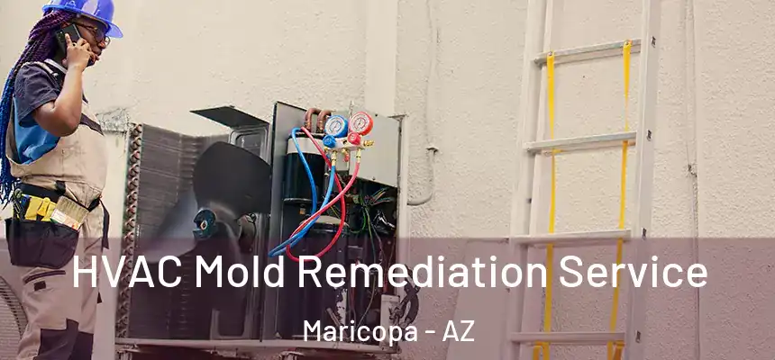  HVAC Mold Remediation Service Maricopa - AZ