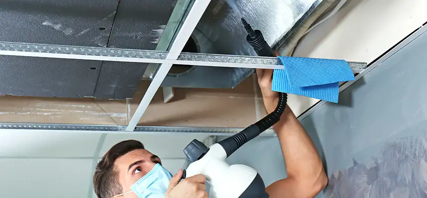 Our Air Duct Rodent Removal Services in Maricopa, AZ