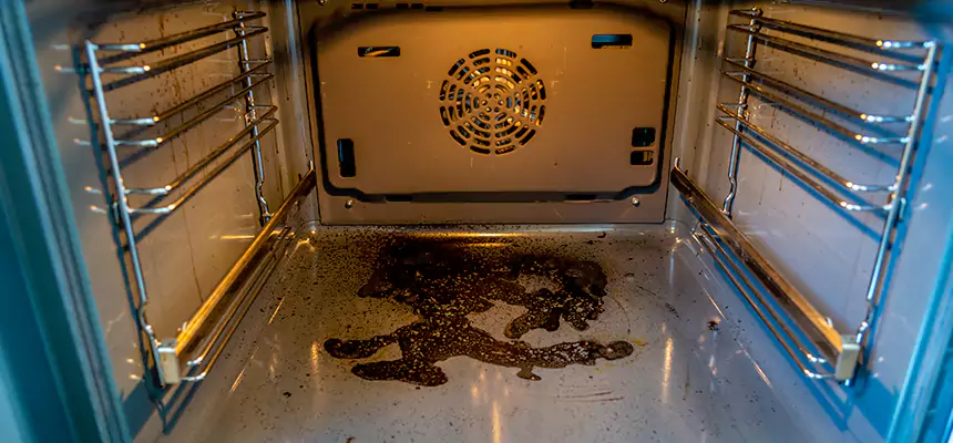 Our Dryer Vent Mold Cleaning Services in Maricopa, AZ