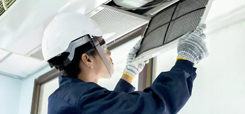 Our Mold & Mildew Removal from Air Ducts Services in Maricopa, AZ