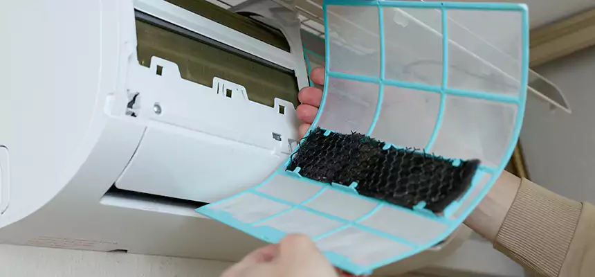 Gentle Ductwork Odor-Control Pet Dander Duct Cleaning in Maricopa, AZ