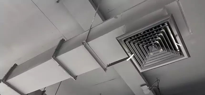 Our Rodent Droppings In Vents Services in Maricopa, AZ