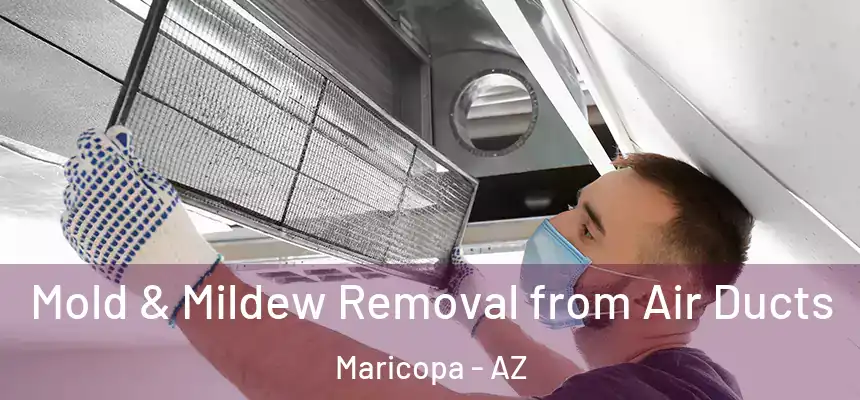  Mold & Mildew Removal from Air Ducts Maricopa - AZ