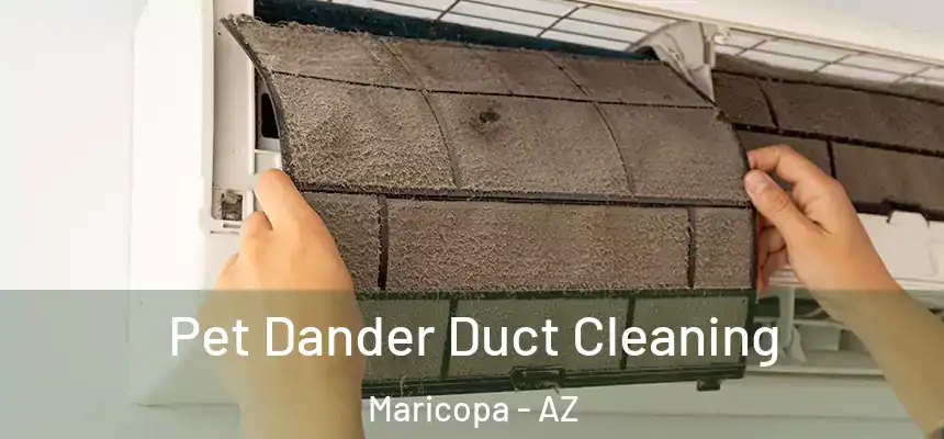 Pet Dander Duct Cleaning Maricopa - AZ