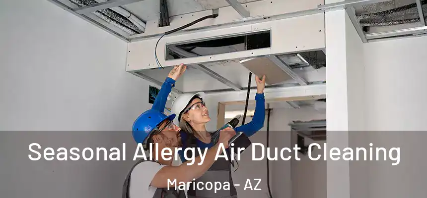  Seasonal Allergy Air Duct Cleaning Maricopa - AZ