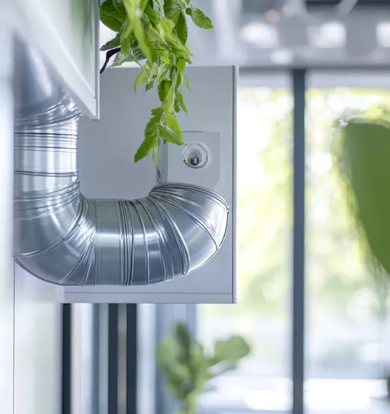 Professional Eco-Friendly Duct Cleaning Services in Maricopa, AZ