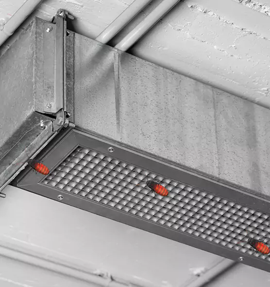 Affordable Insect Removal from Air Ducts in Maricopa, AZ