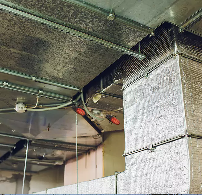 Why Homeowners & Businesses Trust Us in Maricopa, AZ?