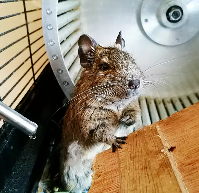 Why Homeowners & Businesses Trust Us Maricopa, AZ?