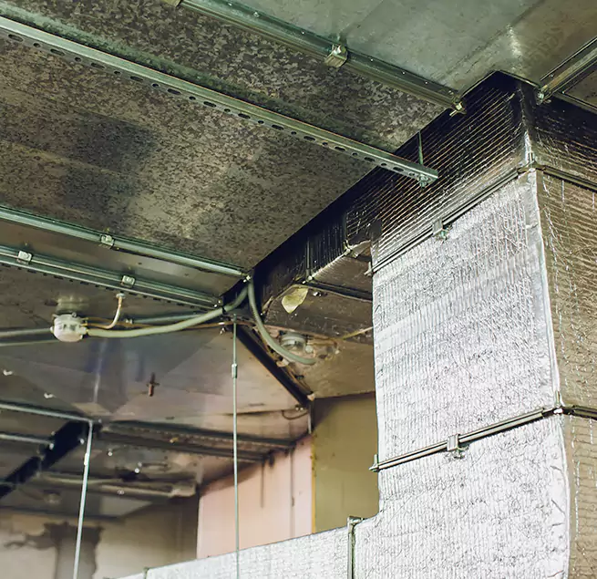 Why Homeowners & Businesses Trust Us in Maricopa, AZ?